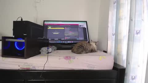 Eolicasextwo online show from January 10, 2025, 9:42 pm