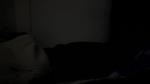 Snapshot of eriolt9 chatting on April 1, 2026, 6:03 am Eriolt online show from April 1, 2026, 6:03 am