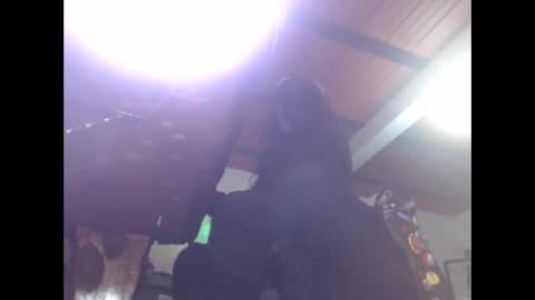 Eskela911 online show from February 16, 2025, 5:37 am