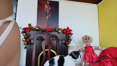 Esmeralda  online show from December 18, 2025, 3:51 pm