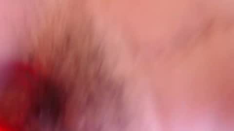 estelamaris online show from January 19, 2025, 12:28 pm