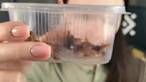 kelt0901 - my channel in telegra online show from February 21, 2026, 2:07 pm