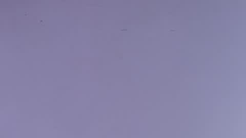 Estrella online show from October 1, 2025, 12:00 pm