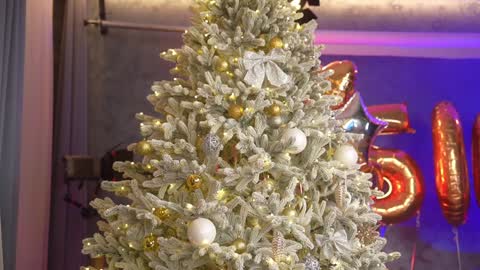 Eva online show from December 28, 2024, 6:50 pm