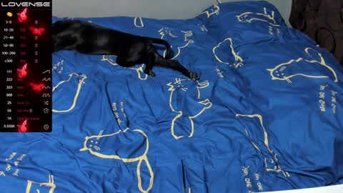 Eva online show from January 19, 2025, 1:01 pm