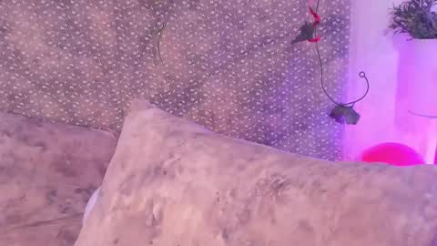 Evan Smitt online show from February 15, 2025, 4:23 pm