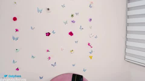 Eva online show from November 4, 2025, 11:15 pm