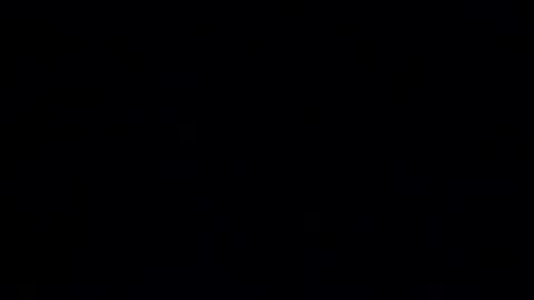 exhibitionvoyeurlive online show from March 14, 2026, 9:15 am