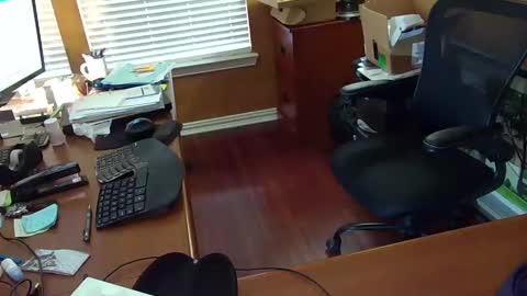 exhibitman69_ldb online show from February 14, 2025, 10:04 pm