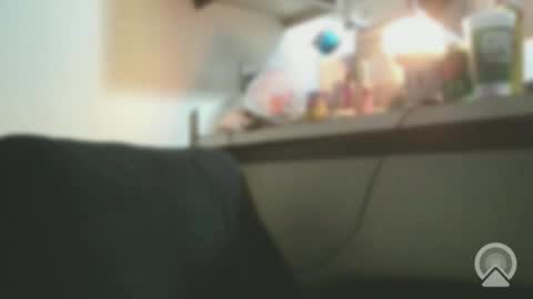 Exoticlexxii online show from February 4, 2026, 7:14 am