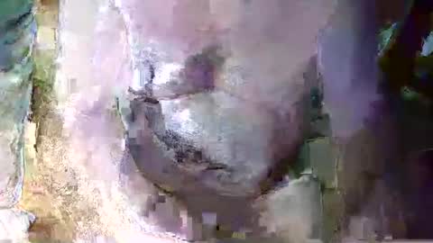 expogent online show from April 10, 2026, 7:24 am