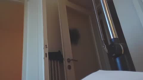 EZCODA online show from January 14, 2025, 2:43 pm