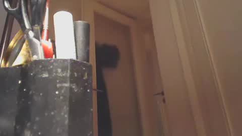 EZCODA online show from January 26, 2025, 10:57 pm