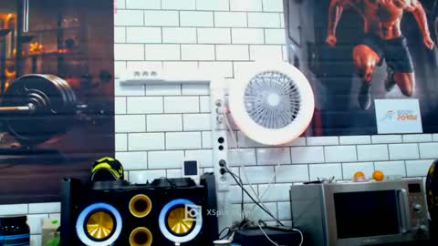 fabxxxl online show from December 4, 2024, 9:07 am