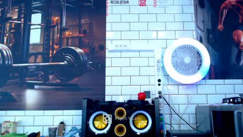 fabxxxl online show from January 21, 2025, 12:18 pm