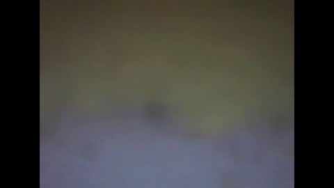 Snapshot of fafafa923 chatting on January 12, 2025, 11:15 pm fafafa923 online show from January 12, 2025, 11:15 pm