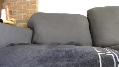 Snapshot of fafnir1278 chatting on January 20, 2025, 6:10 am fafnir1278 online show from January 20, 2025, 6:10 am