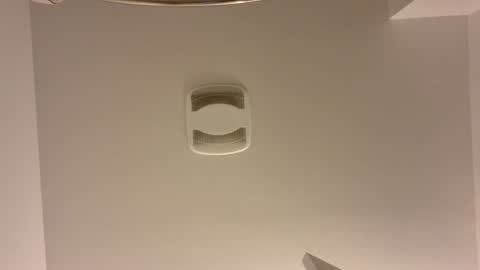 fairyboycvm online show from November 8, 2025, 7:23 pm