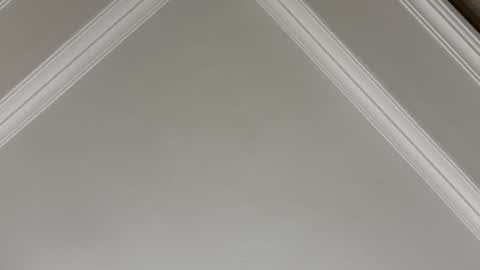 famsea online show from November 10, 2025, 1:48 am