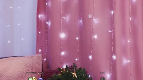 Kim online show from December 27, 2024, 11:21 pm