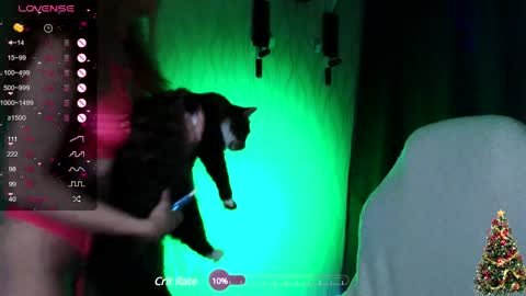 my name is Masha online show from December 20, 2024, 9:39 pm