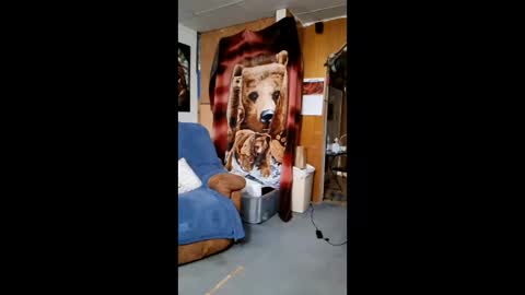 Snapshot of fapqueenc17 chatting on February 10, 2026, 7:23 am Scarlett online show from February 10, 2026, 7:23 am