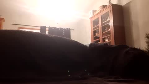 Farm2boy online show from January 11, 2025, 2:09 am