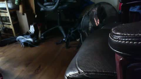 Shawn online show from September 15, 2025, 1:33 pm