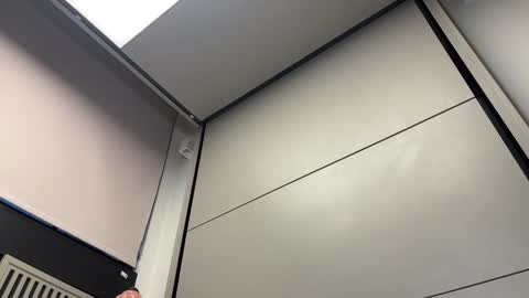 Gattino online show from December 3, 2024, 8:16 am