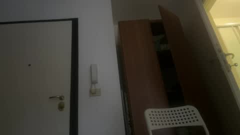 Gattino online show from April 3, 2026, 12:03 pm