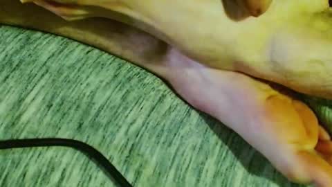 ask me online show from January 30, 2025, 1:44 am