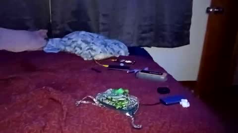 feetandmeat420 online show from October 29, 2025, 9:33 am