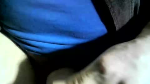 felicaste online show from January 24, 2025, 6:04 pm