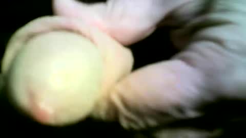 felicaste online show from April 17, 2026, 9:18 pm