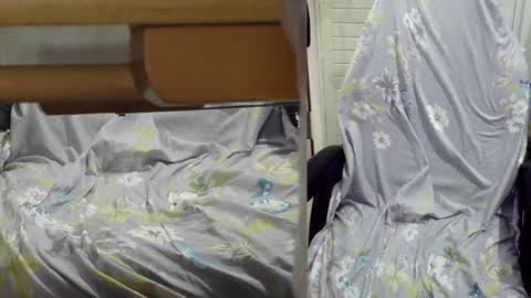 Snapshot of felixlau chatting on December 23, 2024, 1:13 pm felixlau online show from December 23, 2024, 1:13 pm