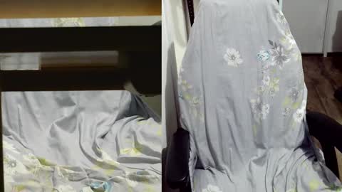 Snapshot of felixlau chatting on March 9, 2025, 10:41 am felixlau online show from March 9, 2025, 10:41 am