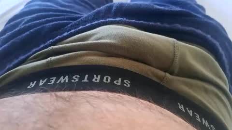 Snapshot of felixske chatting on January 26, 2025, 9:19 am felixske online show from January 26, 2025, 9:19 am