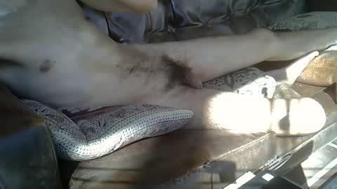 fenix7477 online show from February 3, 2025, 12:47 pm