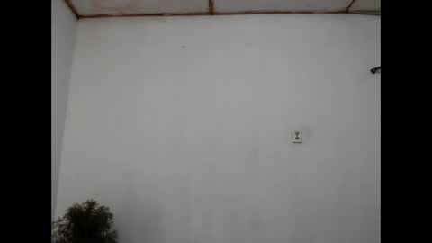 fernandez_latinblack online show from December 31, 2024, 11:28 pm