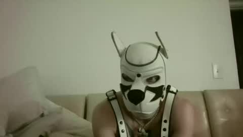 Snapshot of fetishsearch1abdl chatting on September 25, 2025, 11:03 am fetishsearch1abdl online show from September 25, 2025, 11:03 am