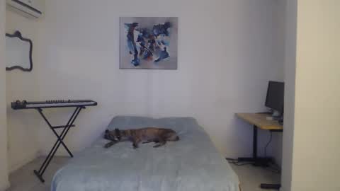 FeuerHeat online show from February 28, 2025, 12:09 pm