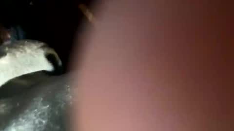 fieldmousebby online show from November 12, 2025, 8:15 am