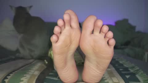 Ashley online show from December 19, 2024, 12:02 am