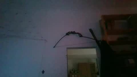 fine_nice online show from January 27, 2025, 9:55 am