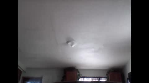 Brad online show from November 29, 2025, 8:01 pm