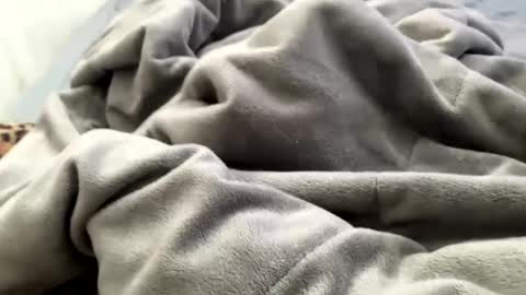 Jat online show from December 21, 2024, 3:53 pm