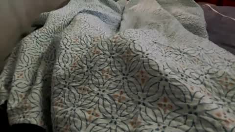 Jat online show from December 29, 2024, 4:19 pm