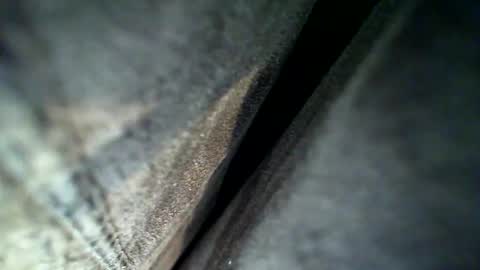 flash online show from February 28, 2026, 4:13 am