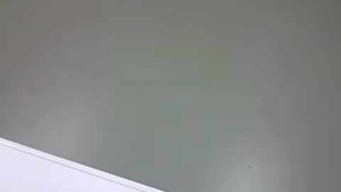 flasherly20cm online show from November 29, 2025, 3:48 pm