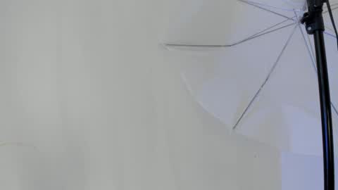 Flavia online show from January 11, 2026, 6:46 pm